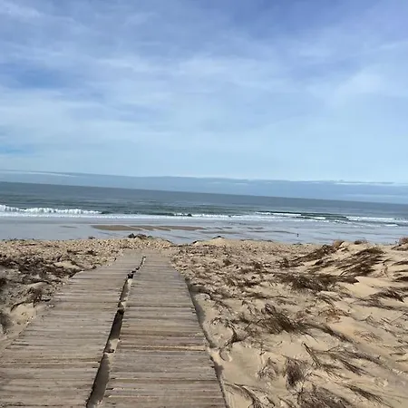 Les Grands Pins - T2 Avec Piscine 公寓 卡尔康