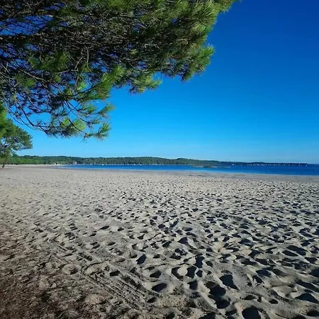 Les Grands Pins - T2 Avec Piscine