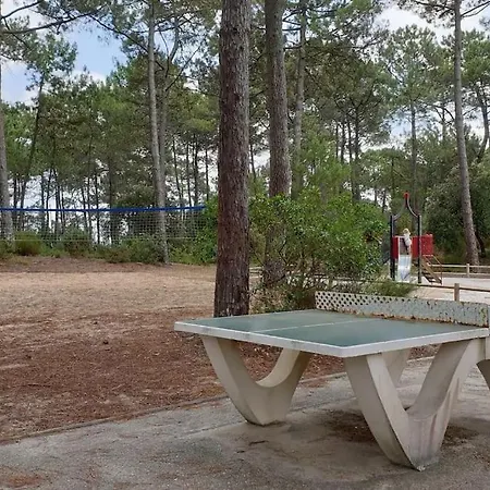 Apartman Les Grands Pins - T2 Avec Piscine