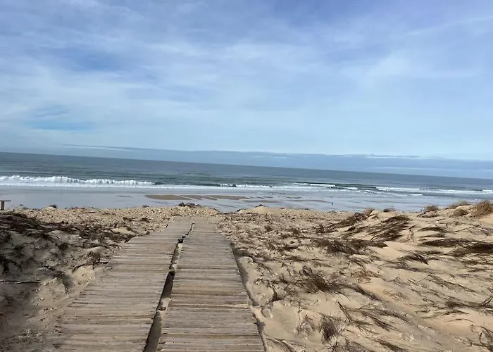 Résidence Les Grands Pins - T2 Avec Piscine Apartamento Carcans