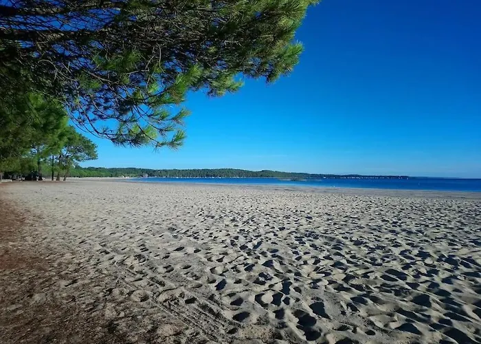 Résidence Les Grands Pins - T2 Avec Piscine