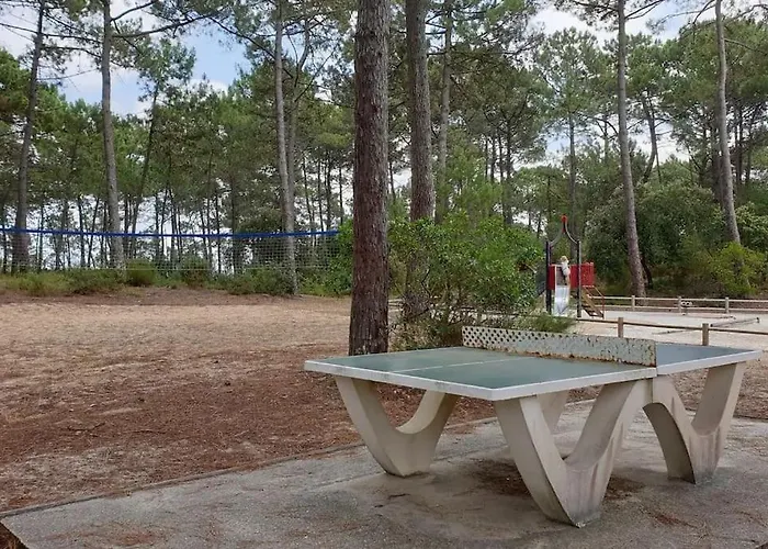 Apartamento Résidence Les Grands Pins - T2 Avec Piscine